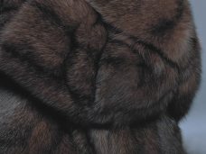 HOW TO CARE FOR YOUR SABLE FUR
